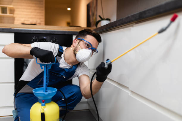 Best Residential Pest Control  in Neptune City, NJ