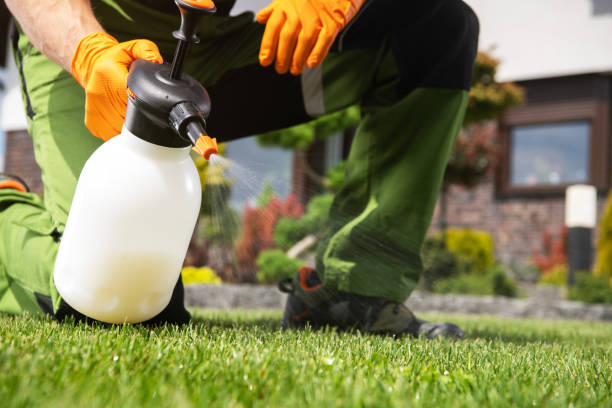 Best Mosquito Control Services  in Neptune City, NJ