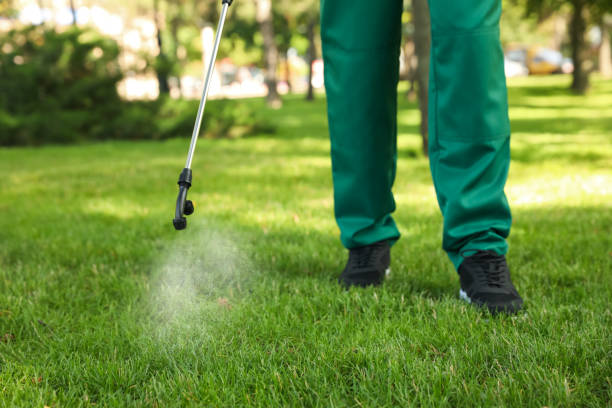Flea Control Services in Neptune City, NJ