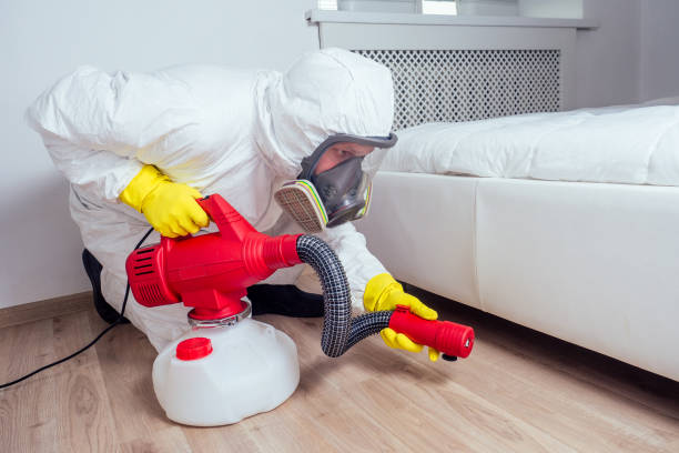 Best Flea Control Services  in Neptune City, NJ
