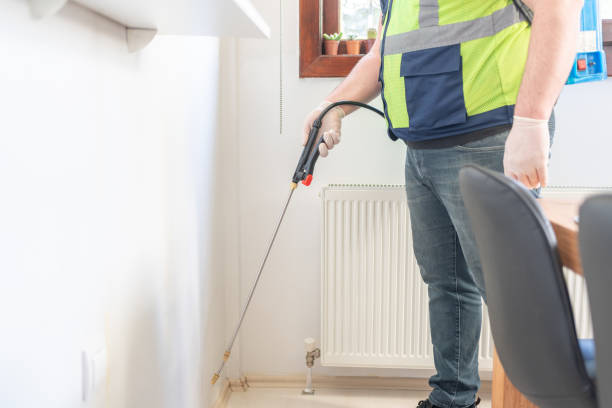 Wasp Removal Services in Neptune City, NJ