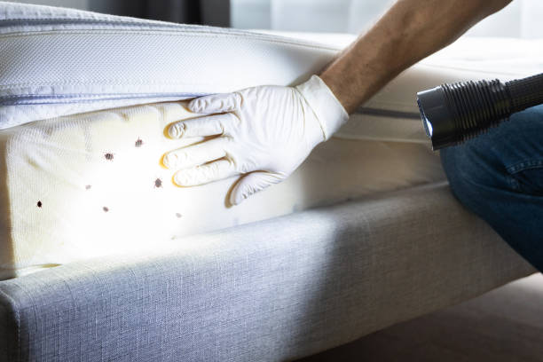 Best Mosquito Control Services  in Neptune City, NJ