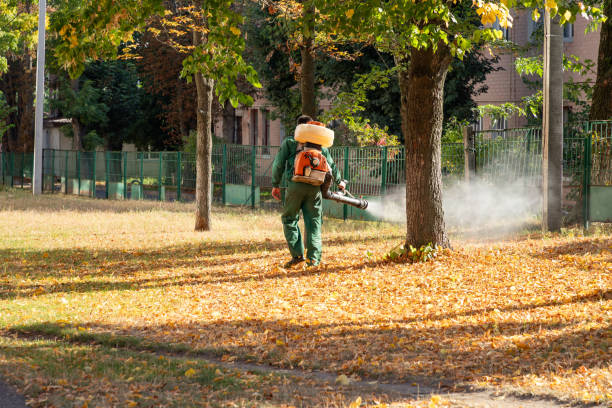 Best Termite Control Services  in Neptune City, NJ