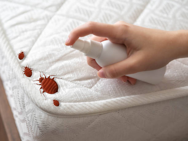 Best Spider Control Near Me  in Neptune City, NJ